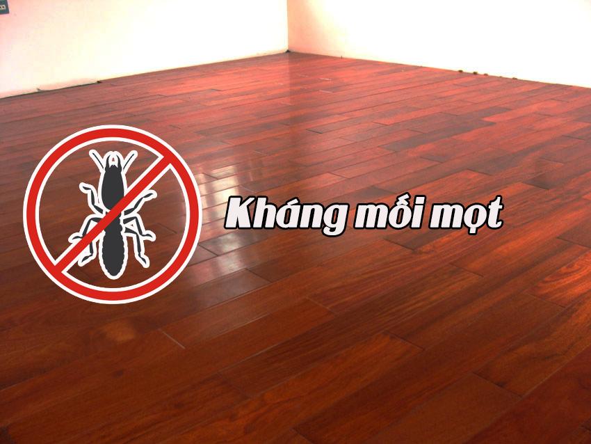 An toàn thân thiện Gỗ căm xe Lào nhập khẩu Mua Bán sản xuất thi công (1)