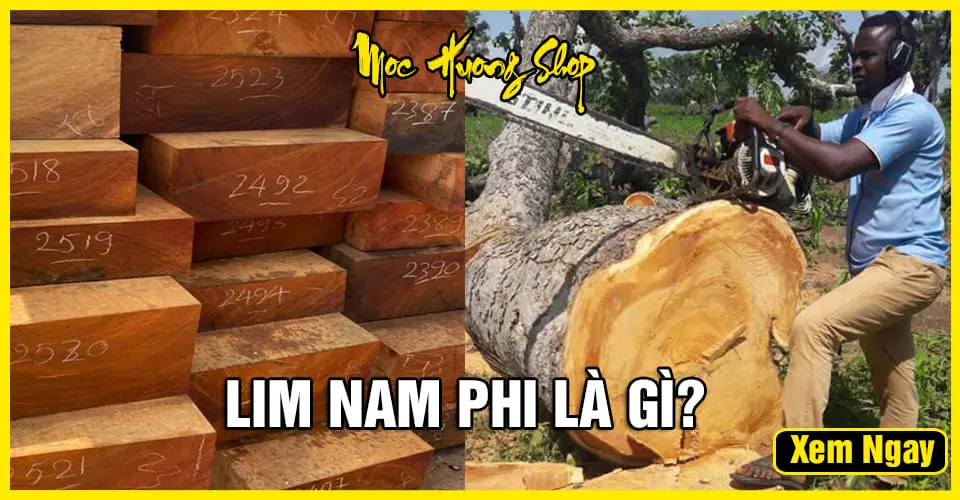 Chọn mua Giá gỗ lim Nam Phi về làm nhà an toàn và bền vững (1)