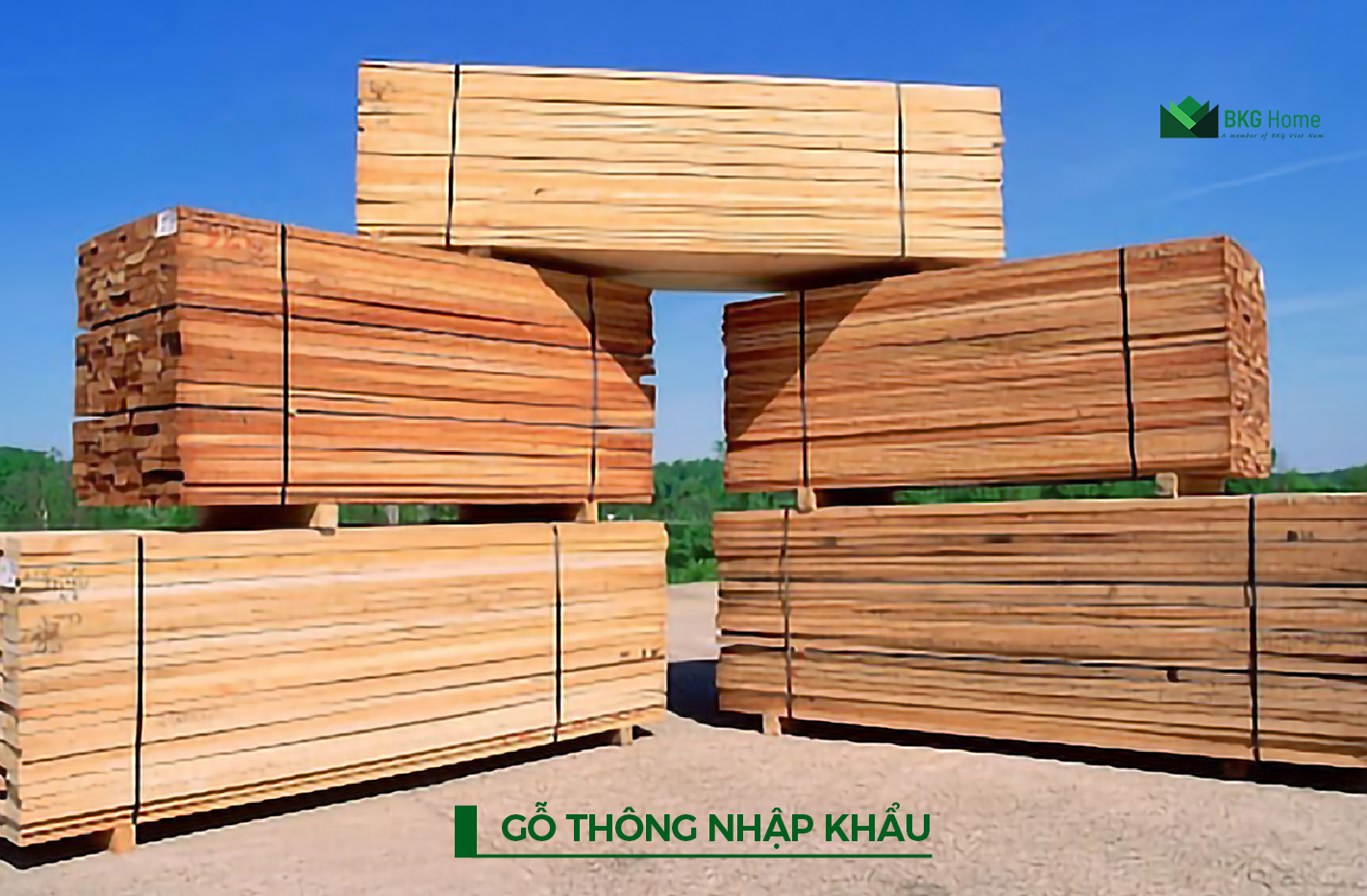 So sánh và phân loại Gỗ nhập khẩu chất lượng cao và gỗ phổ biến trên thị trường (1)