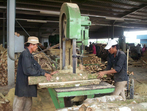 Thông tin quy cách Mua Bán sản xuất thi công Cắt xẻ gỗ sồi Tuy Hoà Phú Yên (1)