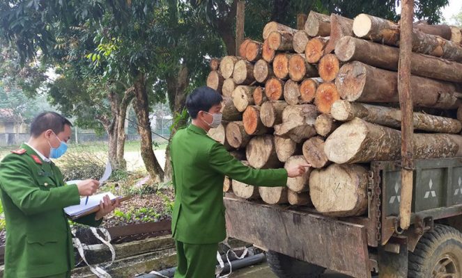 Vận chuyển mua bán, sản xuất, thi công gỗ sân vườn Tuy Hoà, Phú Yên cần gì (3)