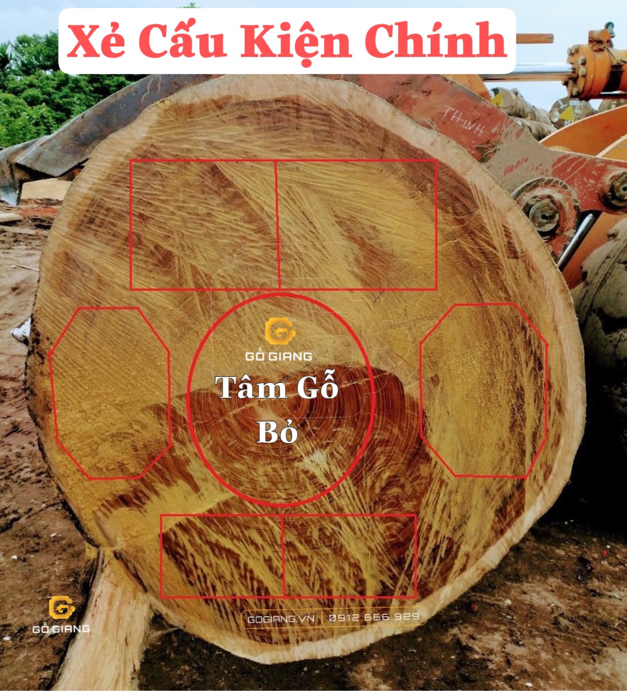 Xẻ gỗ chọn Gỗ lim châu Phi và đặc tính vật lí của gỗ lim (1)